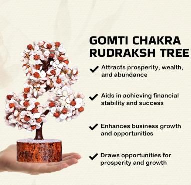 🌿 Gomti Chakra and Rudraksha Floral Design Stone Tree 🌿