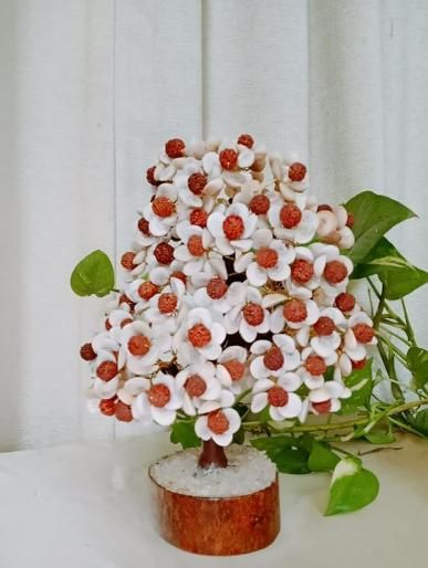 🌿 Gomti Chakra and Rudraksha Floral Design Stone Tree 🌿