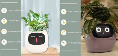 Smart Electronic Plant Pot
