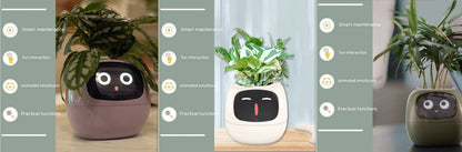 Smart Electronic Plant Pot