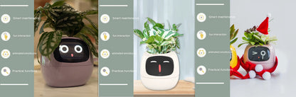 Smart Electronic Plant Pot