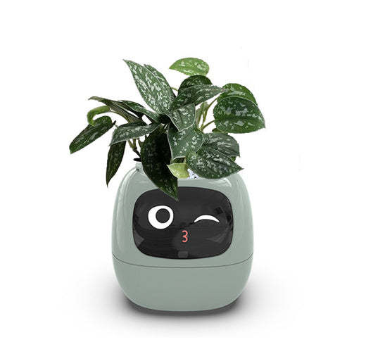 Smart Electronic Plant Pot